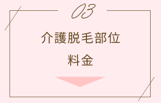 介護脱毛部位・料金 アンカー