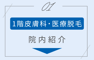 1階皮膚科・医療脱毛 アンカーリンク